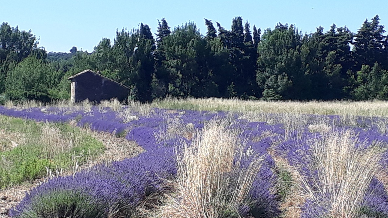Photo of Outdoor in Chamaret