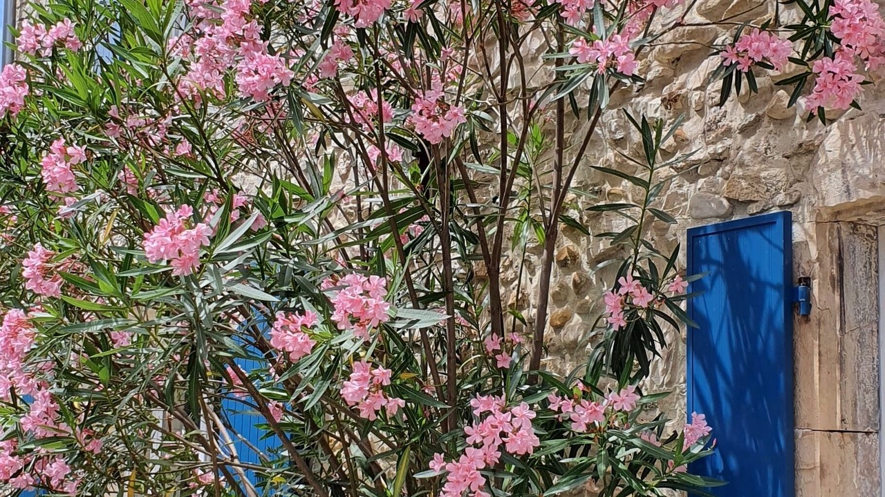 Photo of Outdoor in Puygiron