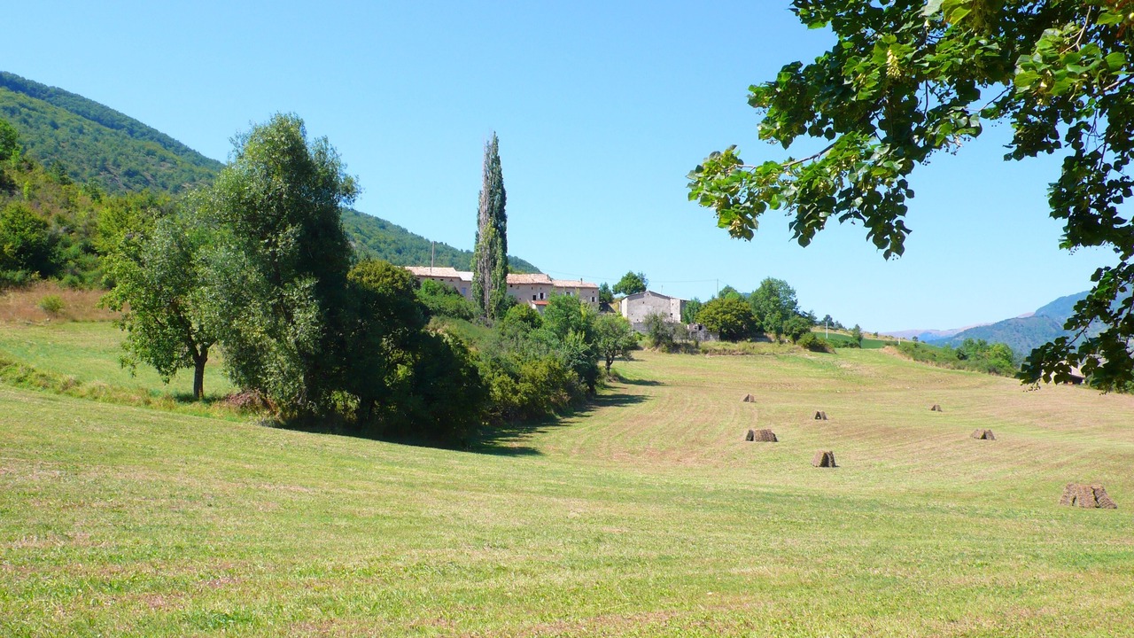 Photo of Others in Bouvieres
