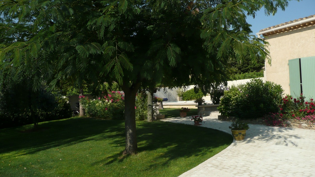 Photo of Outdoor in Buisson