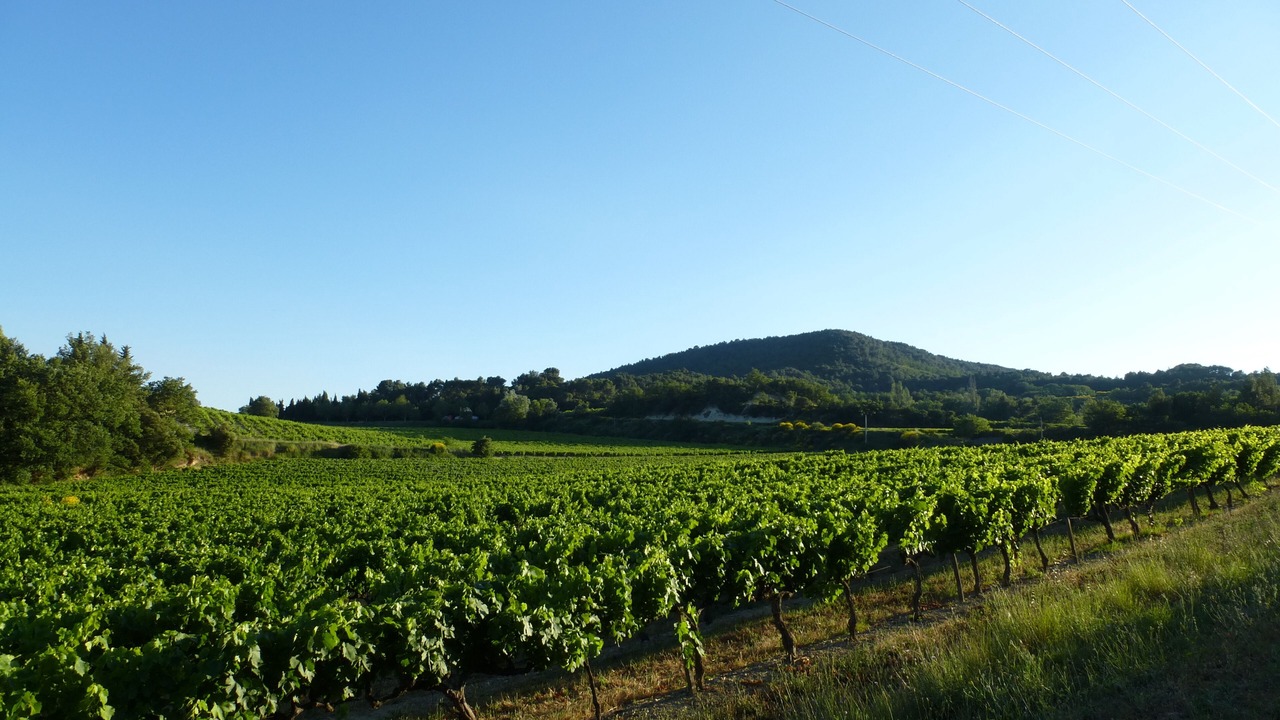 Photo of Outdoor in Buisson