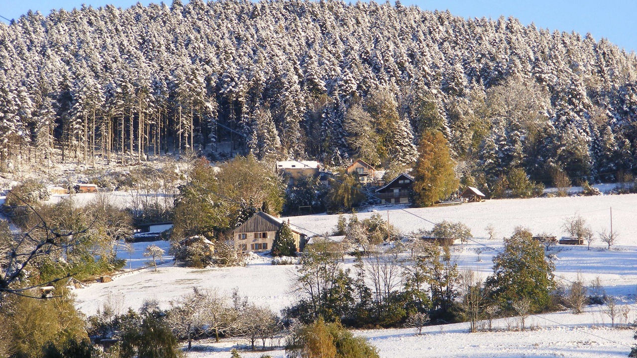 Photo of Outdoor in Fraize