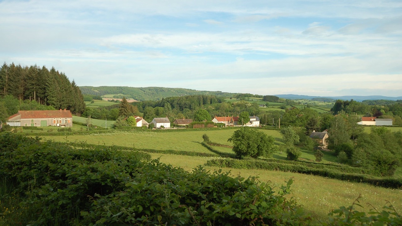 Photo of Others in Mhere