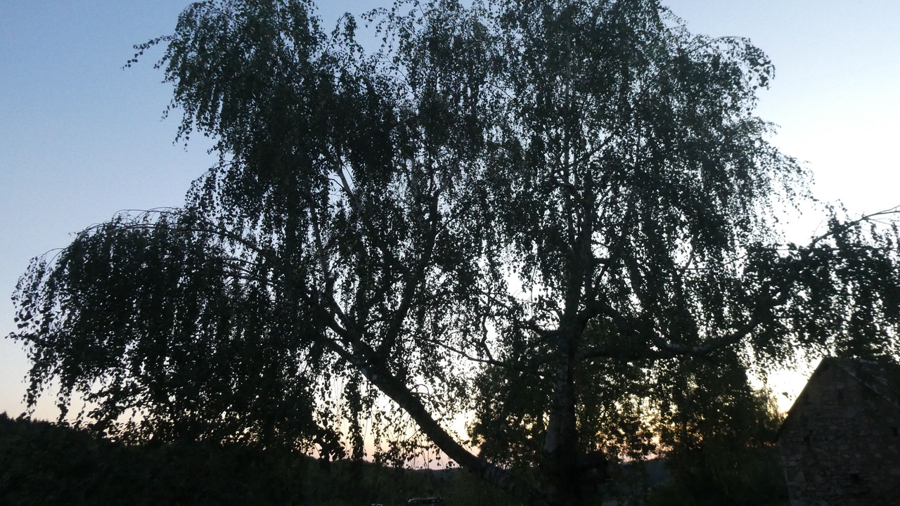 Photo of Outdoor in Mhere