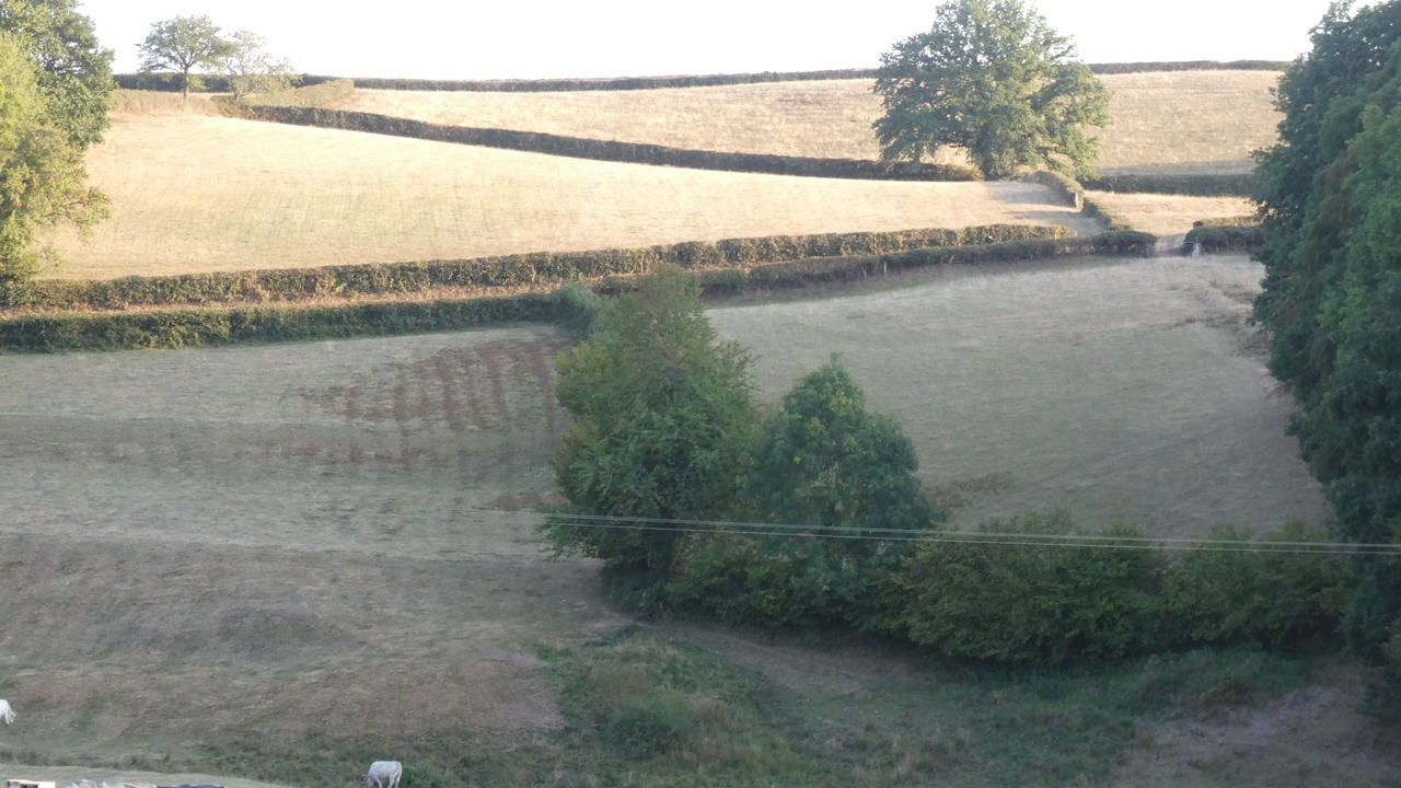 Photo of Outdoor in Mhere