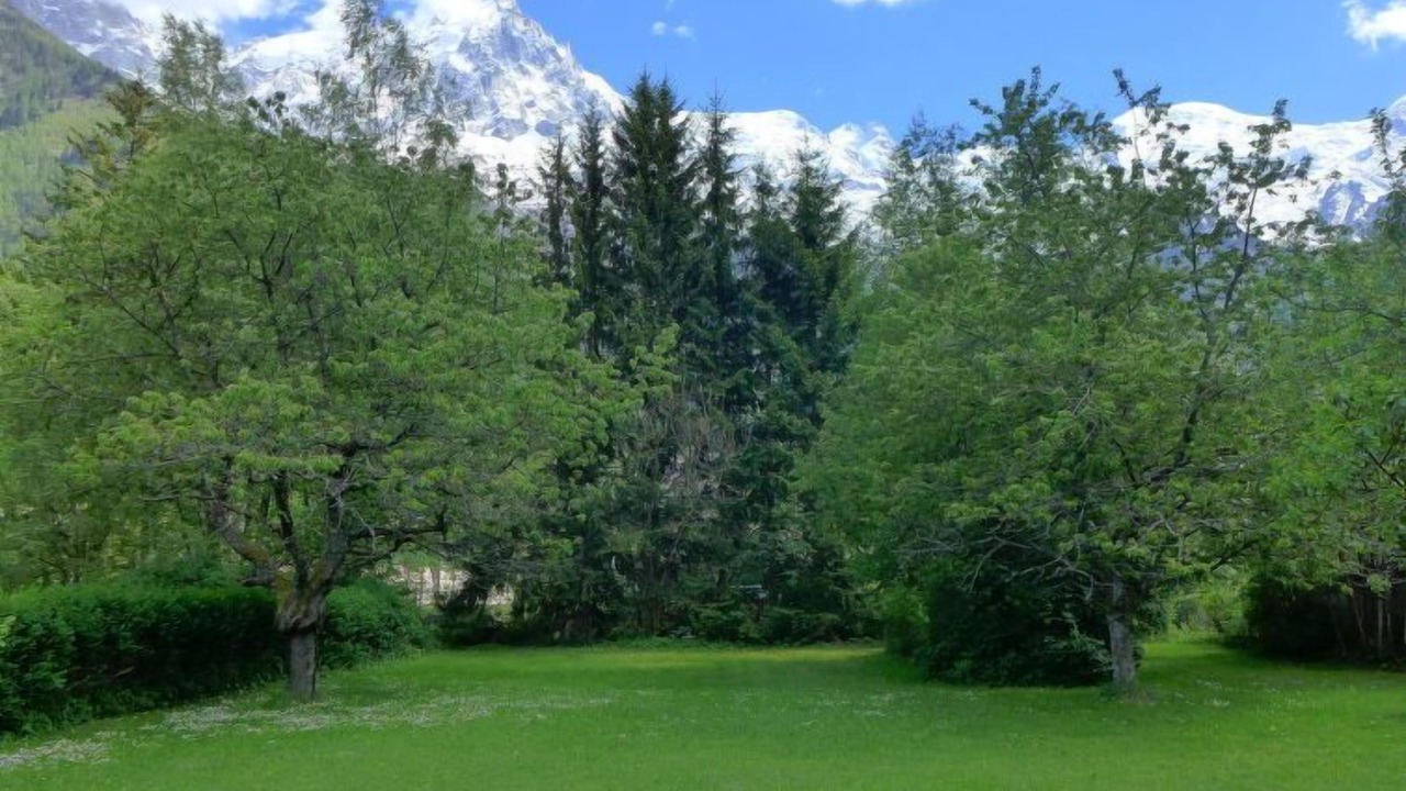 Photo of Others in Chamonix-Mont-Blanc
