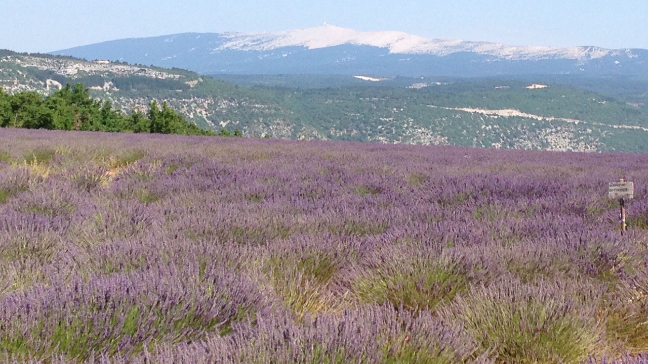 Photo of Outdoor in Villes-sur-Auzon