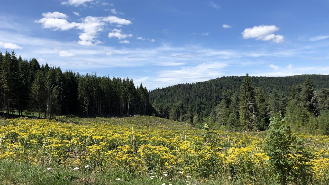 Photo of Outdoor in Fayet-Ronaye