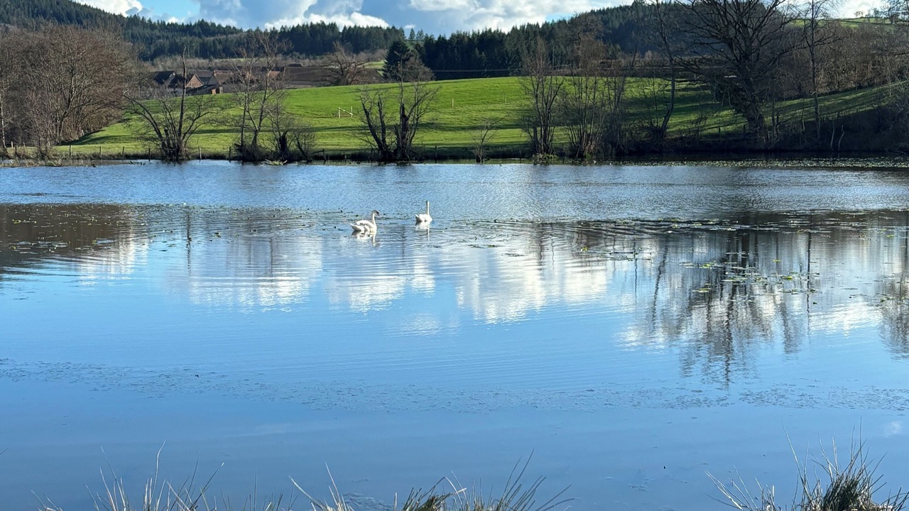 Photo of Others in Beaubery