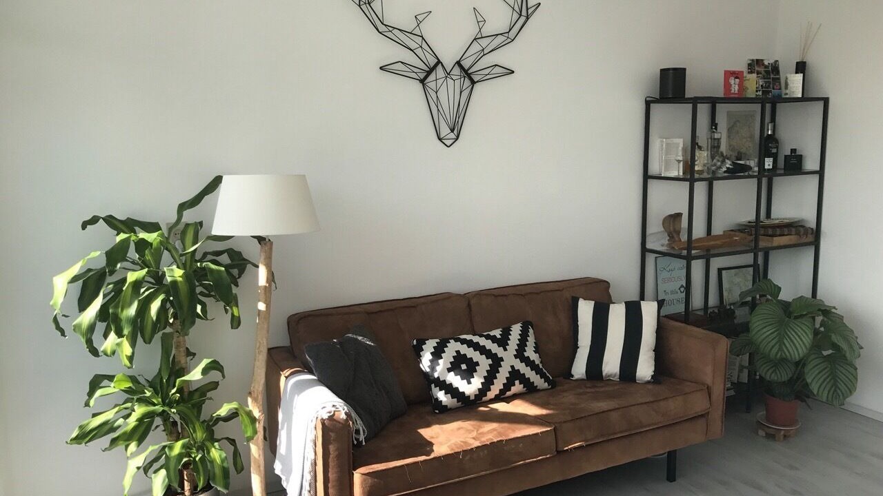 Photo of Livingroom in Bletterans