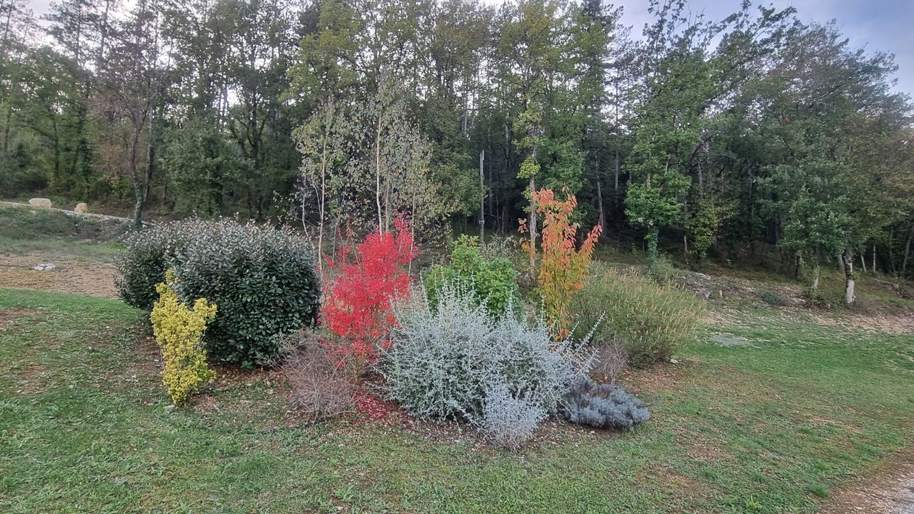 Photo of Outdoor in Concores