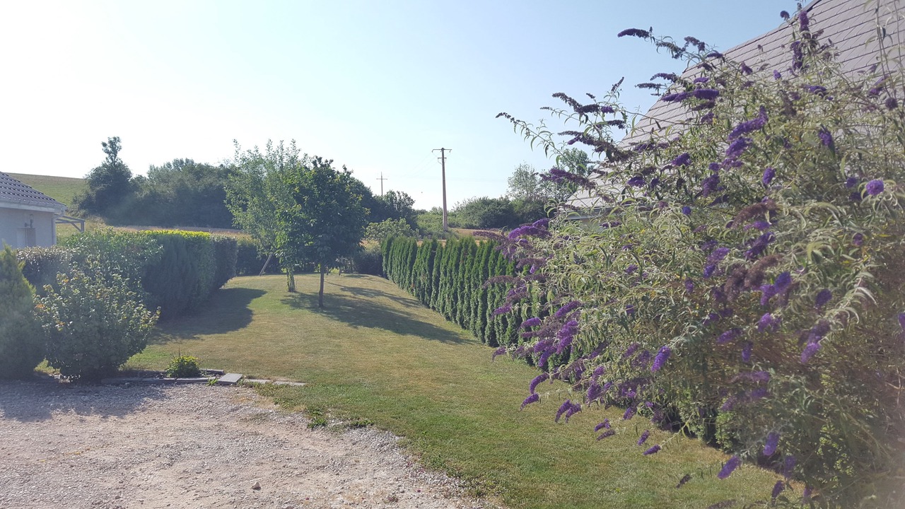 Photo of Outdoor in Montfaucon
