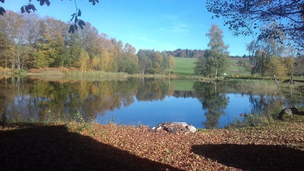 Photo of Outdoor in Beulotte-Saint-Laurent