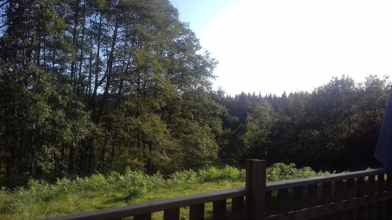 Photo of Outdoor in Beulotte-Saint-Laurent