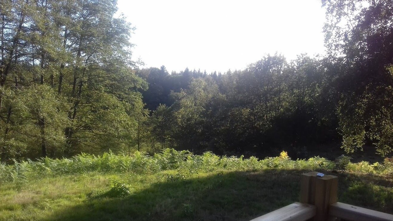 Photo of Outdoor in Beulotte-Saint-Laurent