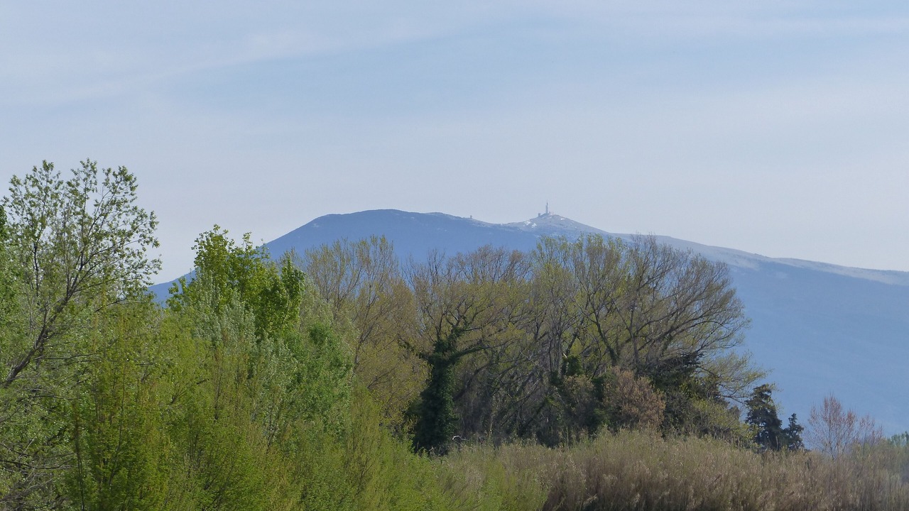Photo of Outdoor in Aubignan