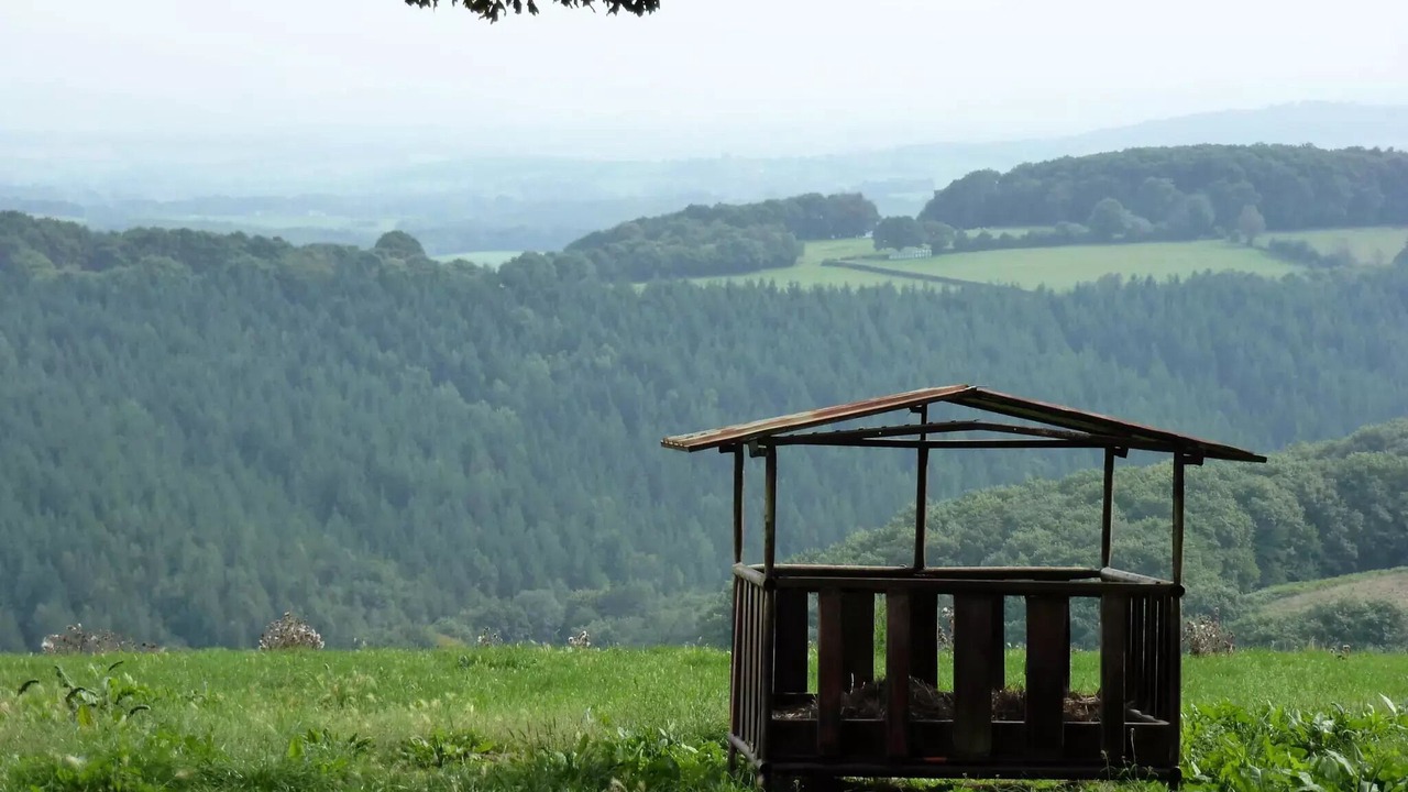 Photo of Outdoor in Saint-Honore-les-Bains