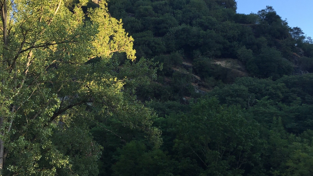 Photo of Outdoor in Saint-Barthelemy-de-Vals