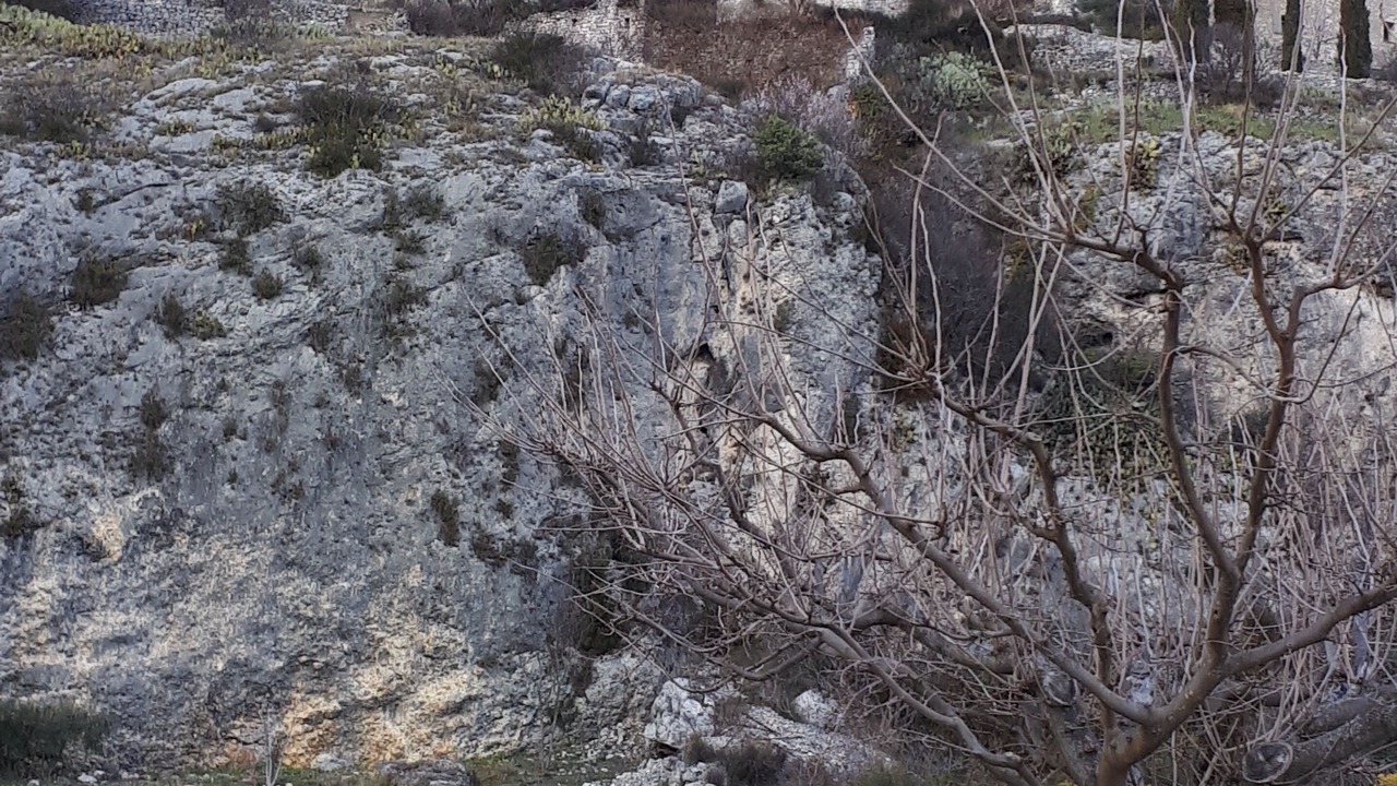 Photo of Outdoor in Methamis