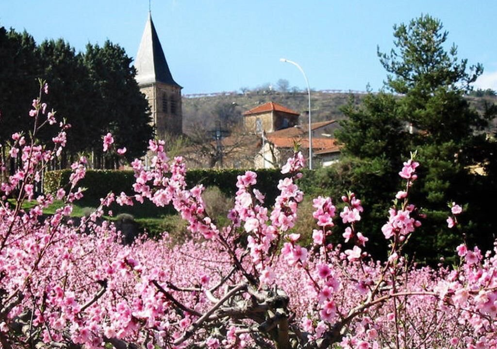 Photo of Outdoor in Saint-Prix