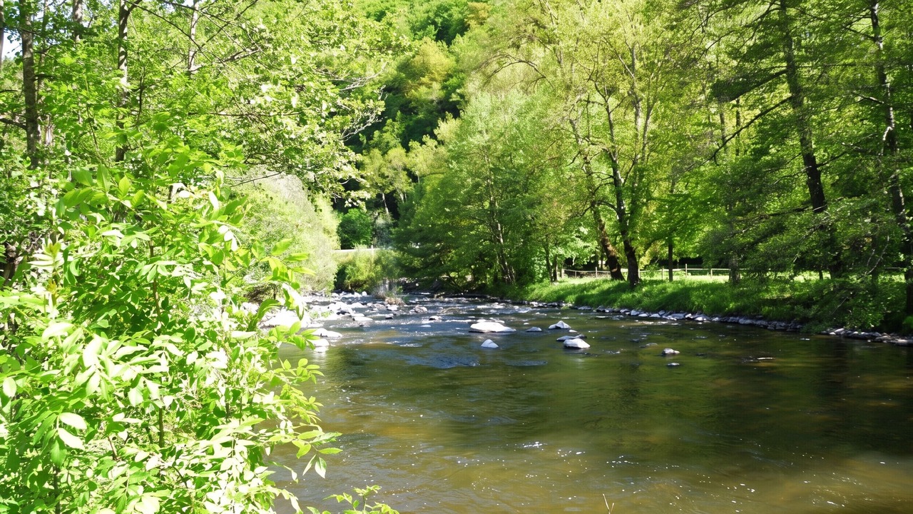 Photo of Others in Ferrieres-Saint-Mary