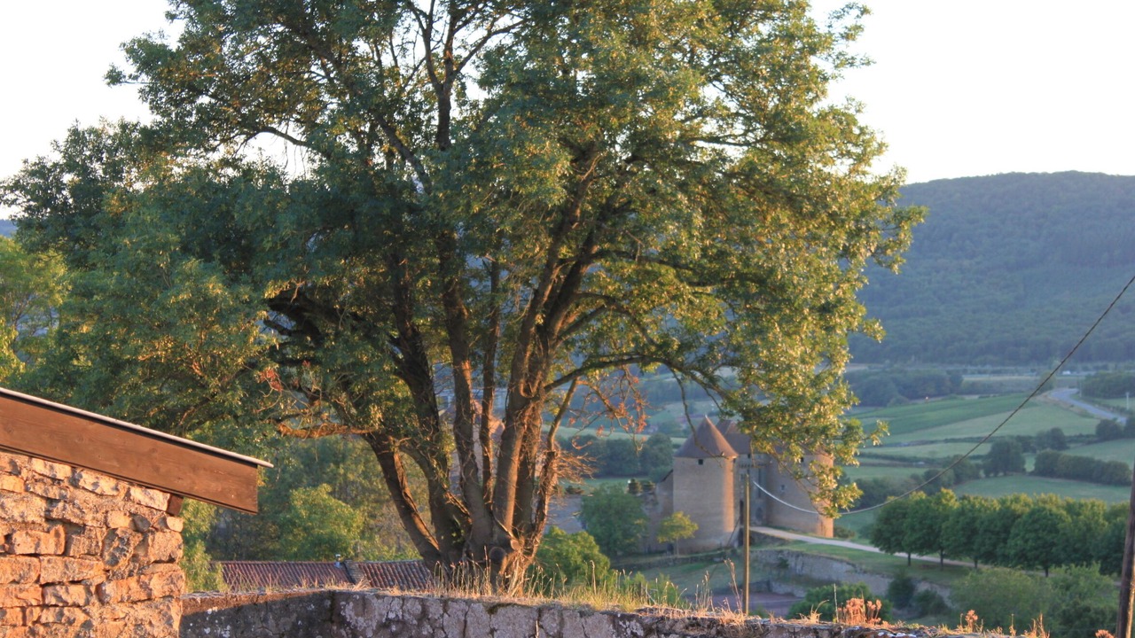 Photo of Outdoor in Berze-le-Chatel