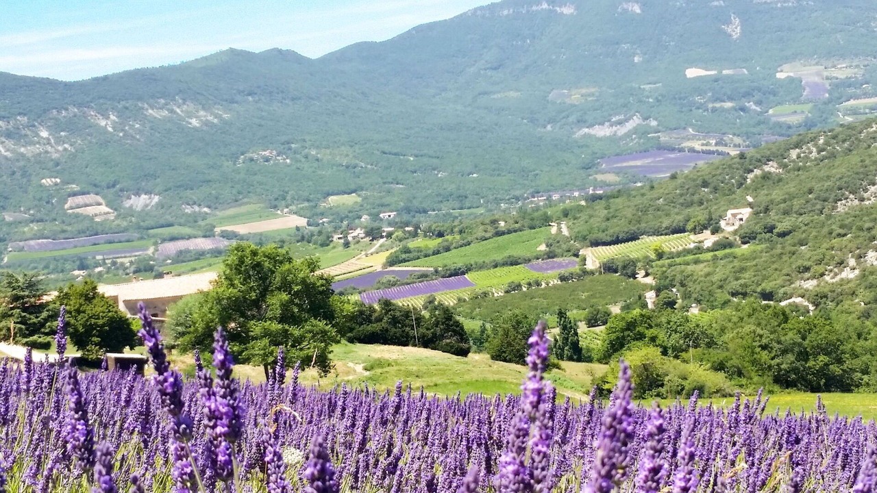 Photo of Others in Roche-Saint-Secret