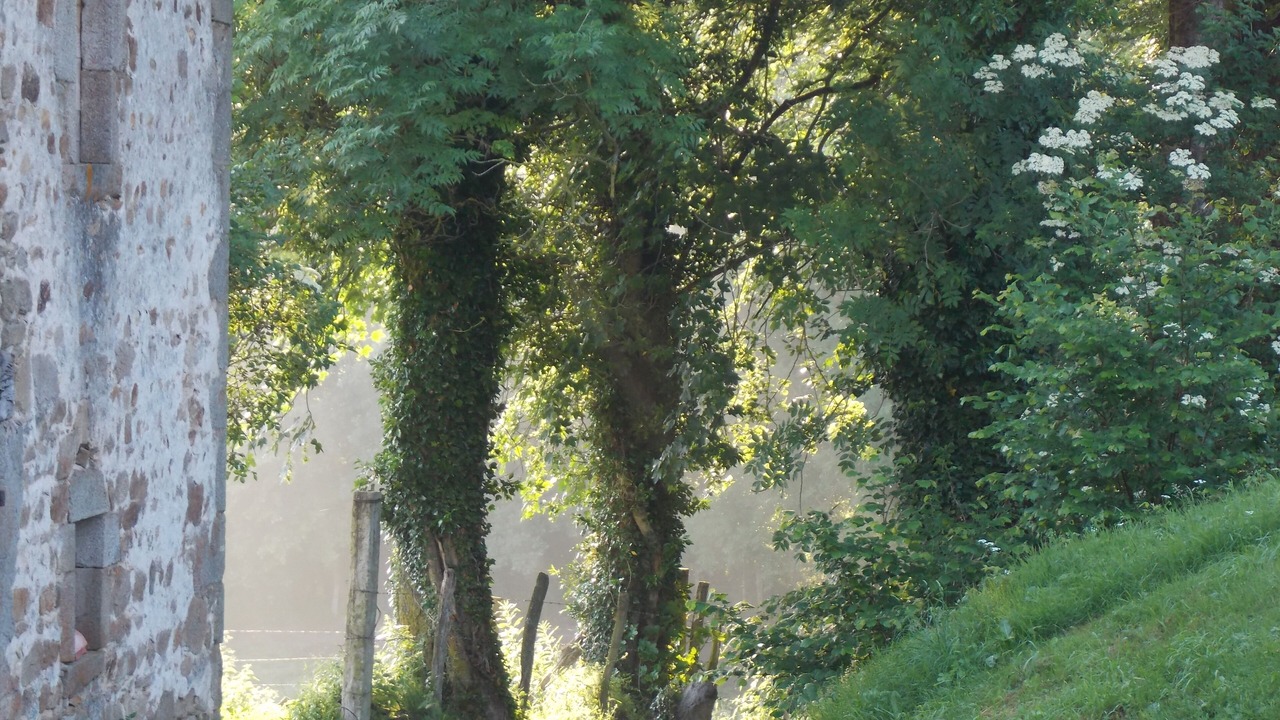 Photo of Outdoor in Auzelles