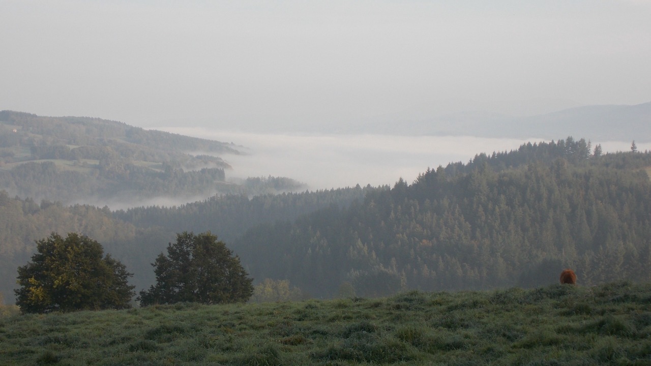 Photo of Outdoor in Auzelles