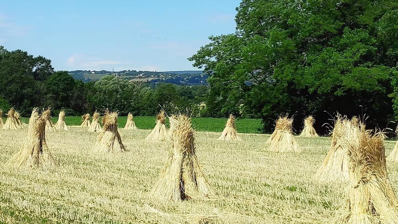 Photo of Others in L'Abergement-de-Cuisery