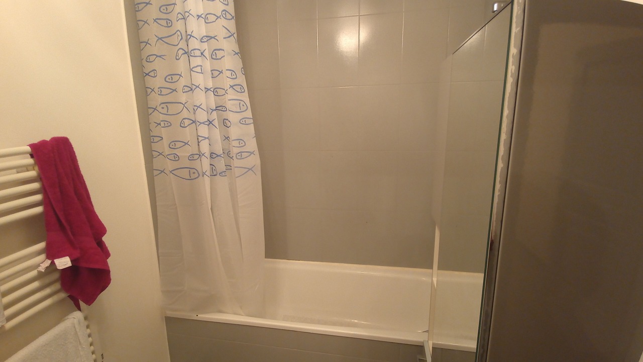 Photo of Bathroom in Antony