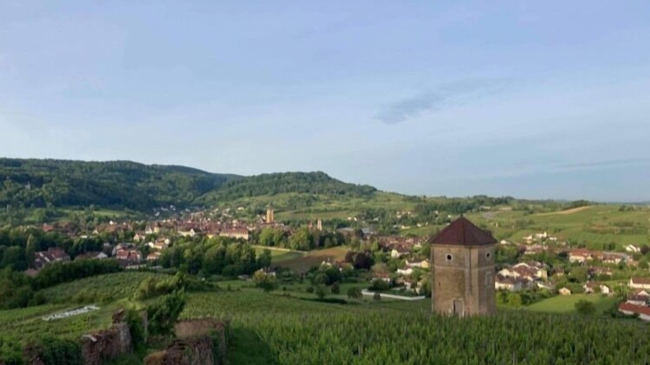 Photo of Others in Arbois
