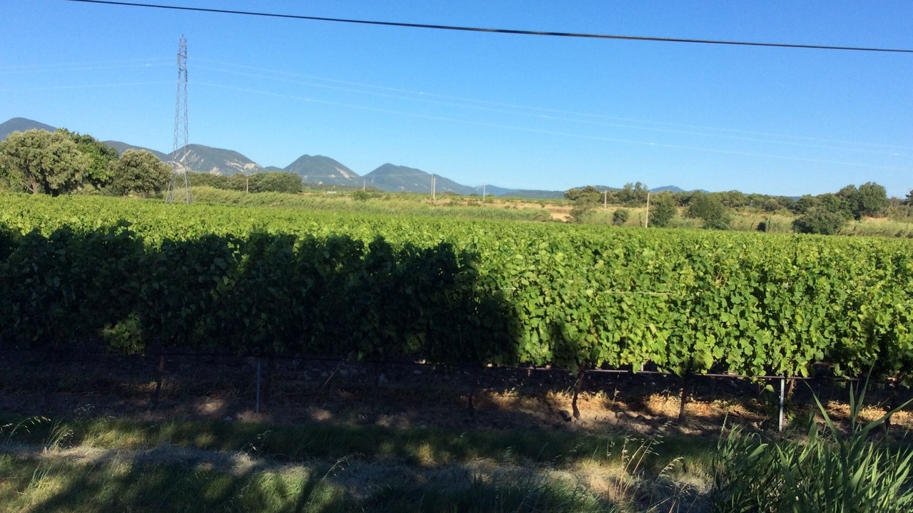 Photo of Outdoor in Valreas