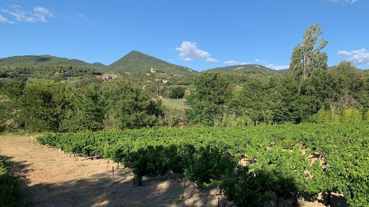 Photo of Outdoor in Piegon