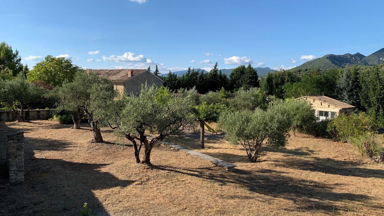 Photo of Outdoor in Piegon