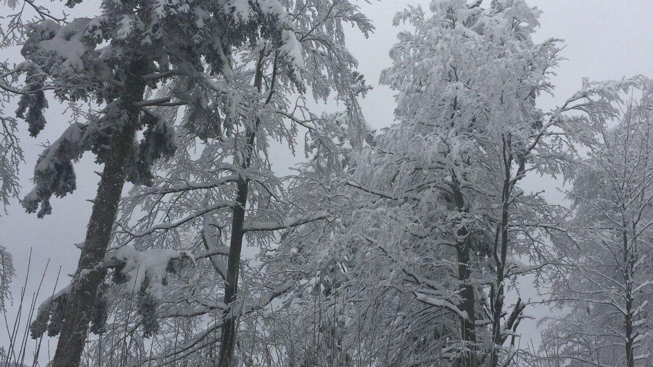 Photo of Outdoor in Semmadon