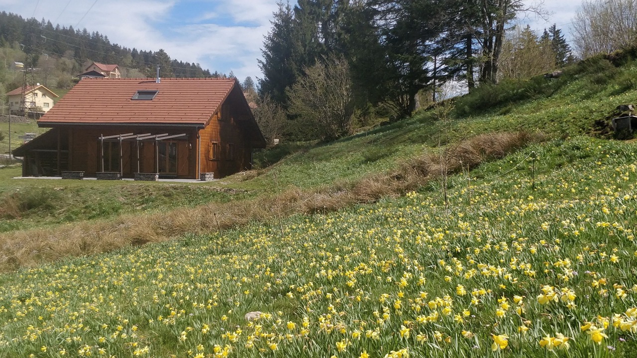 Photo of Outdoor in Gerardmer
