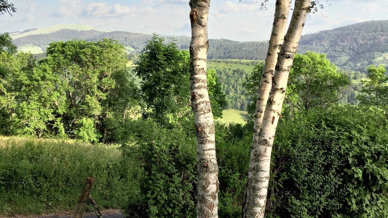 Photo of Outdoor in Le Fau