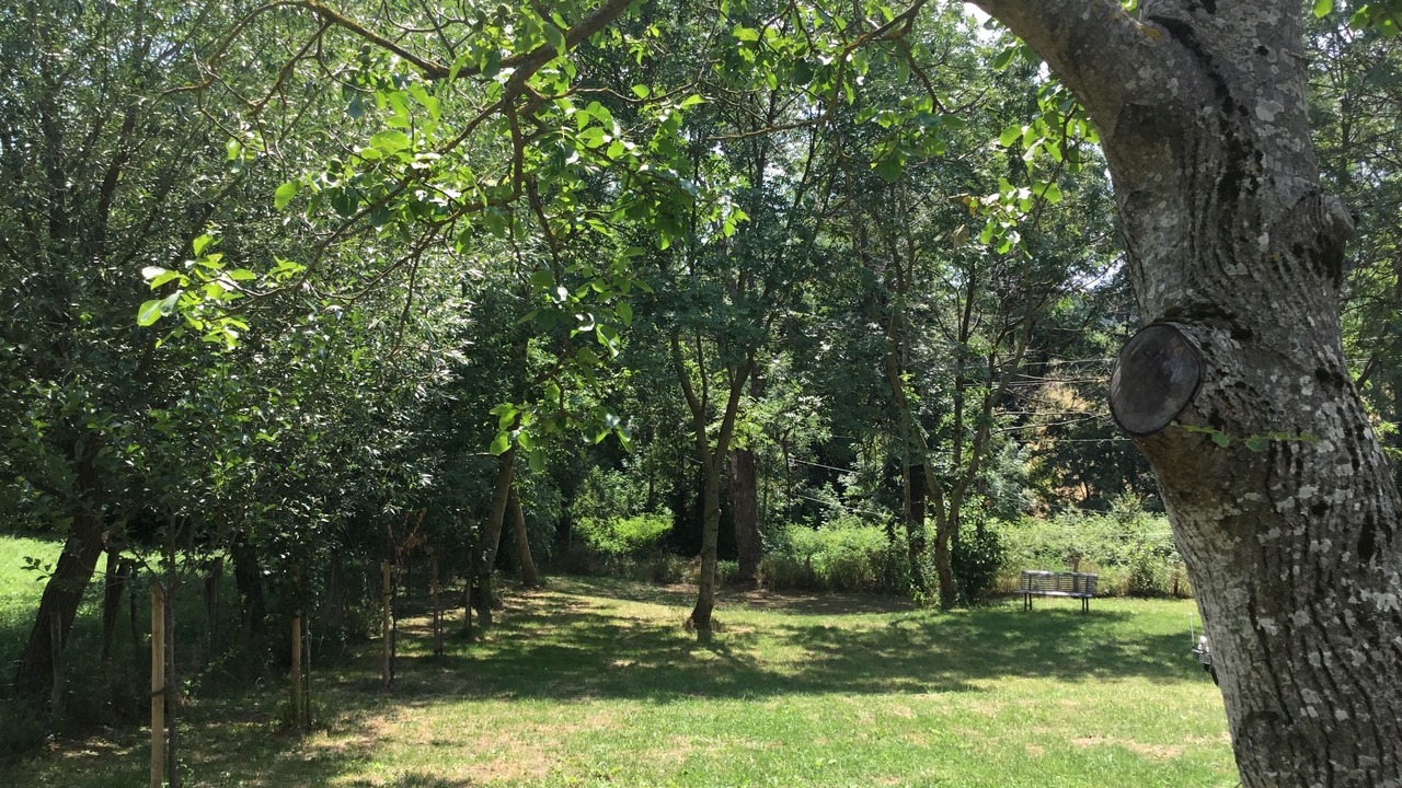 Photo of Outdoor in Rhone Crussol