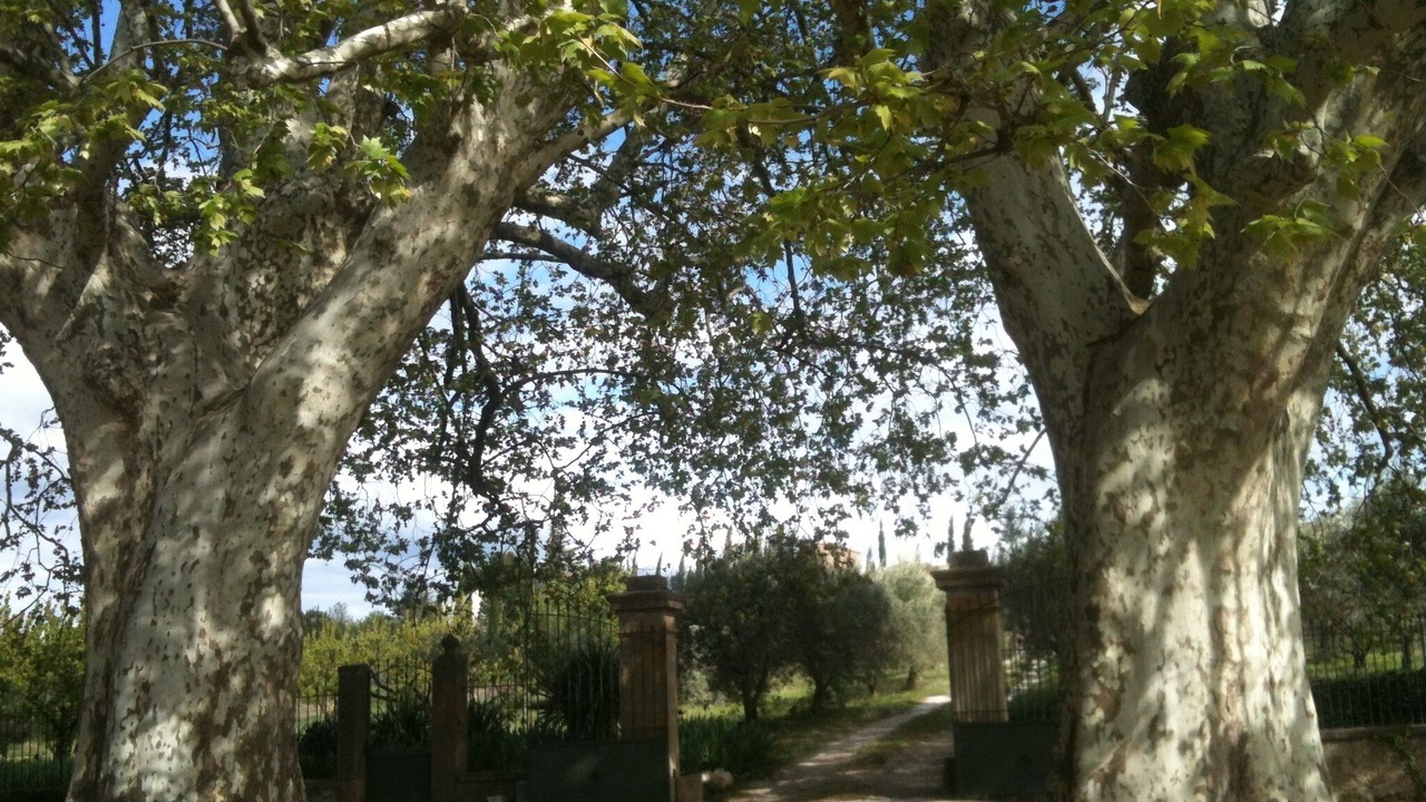Photo of Outdoor in Caromb