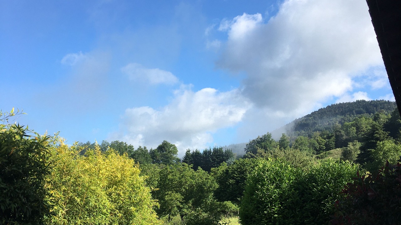 Photo of Outdoor in Job