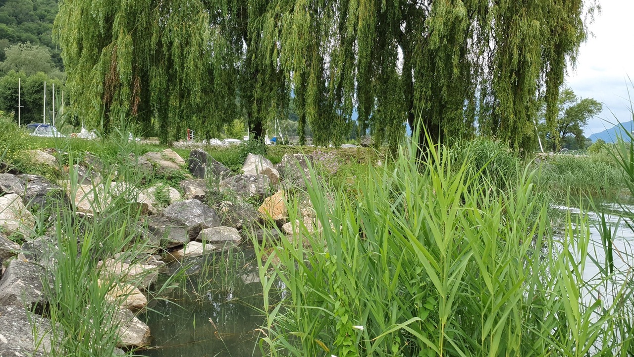 Photo of Outdoor in Saint-Pierre-de-Curtille