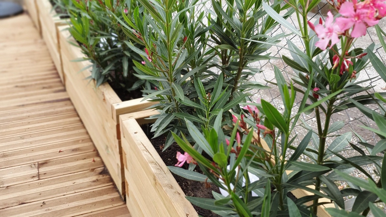Photo of Outdoor in Saint-Pierre-de-Curtille