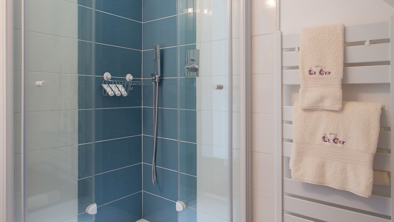 Photo of Bathroom in Beaune City Centre