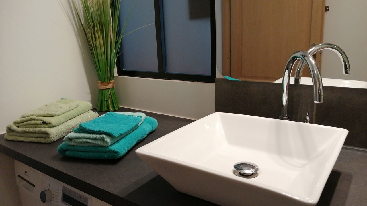 Photo of Bathroom in Saint-Maurice-en-Riviere
