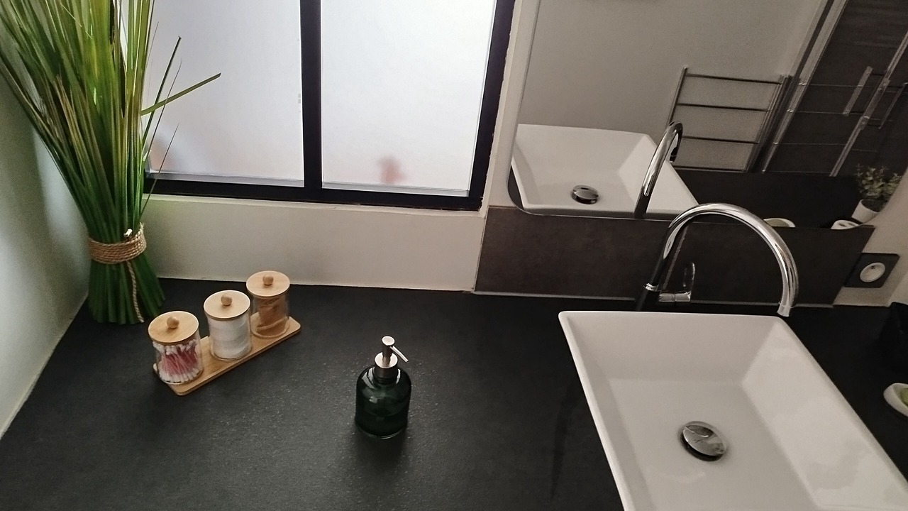 Photo of Bathroom in Saint-Maurice-en-Riviere
