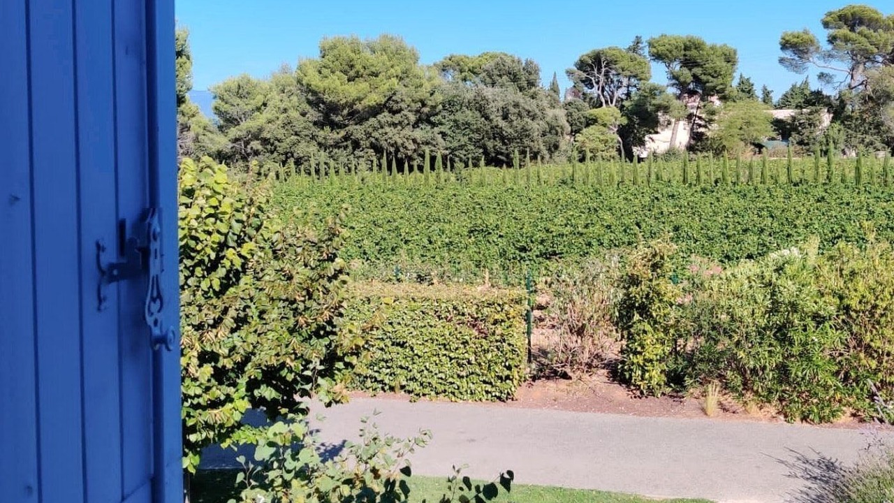 Photo of Outdoor in Aubignan