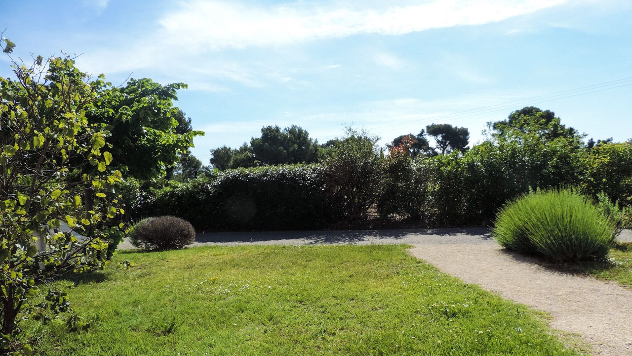 Photo of Outdoor in Aubignan