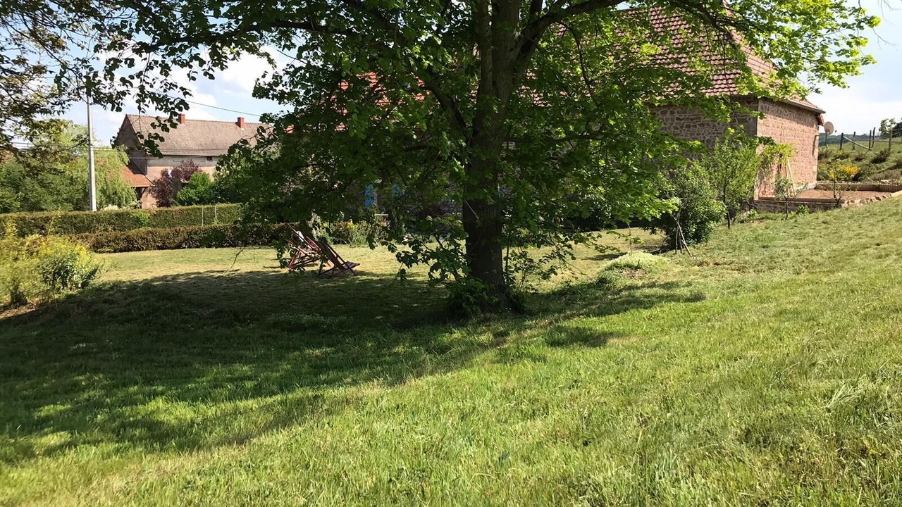 Photo of Outdoor in Trivy