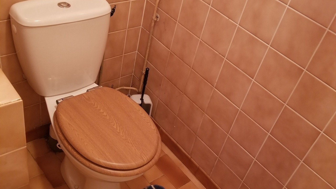 Photo of Bathroom in La Chapelle-Naude